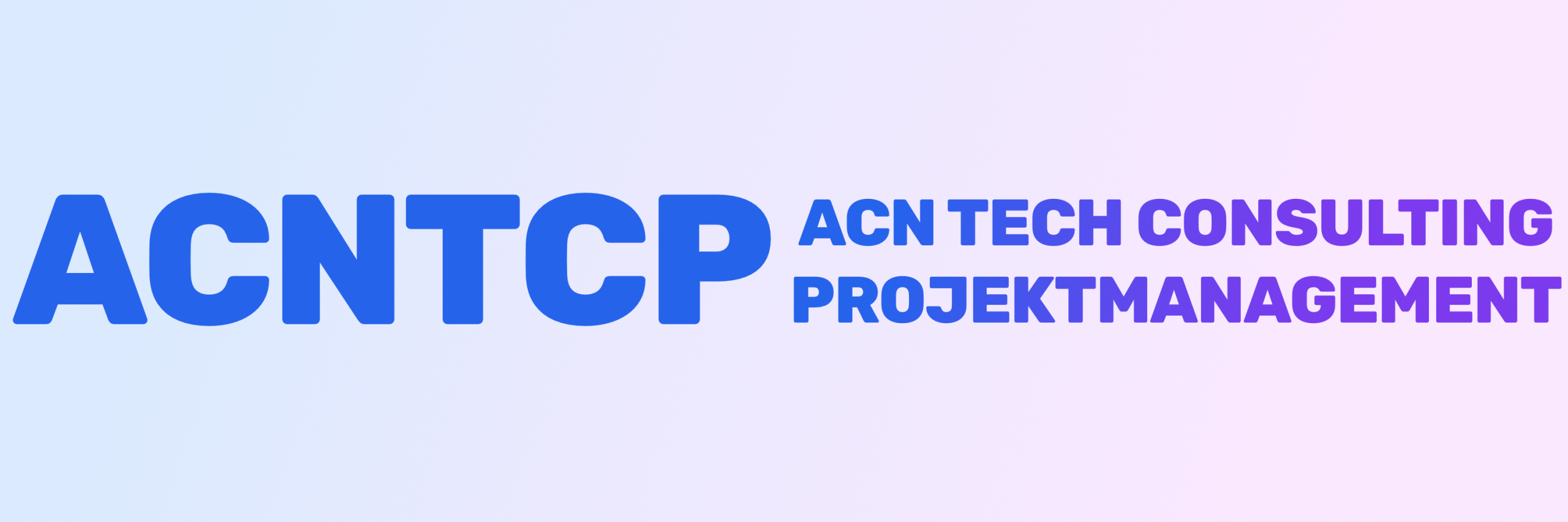 ACN Tech Consulting Projektmanagement